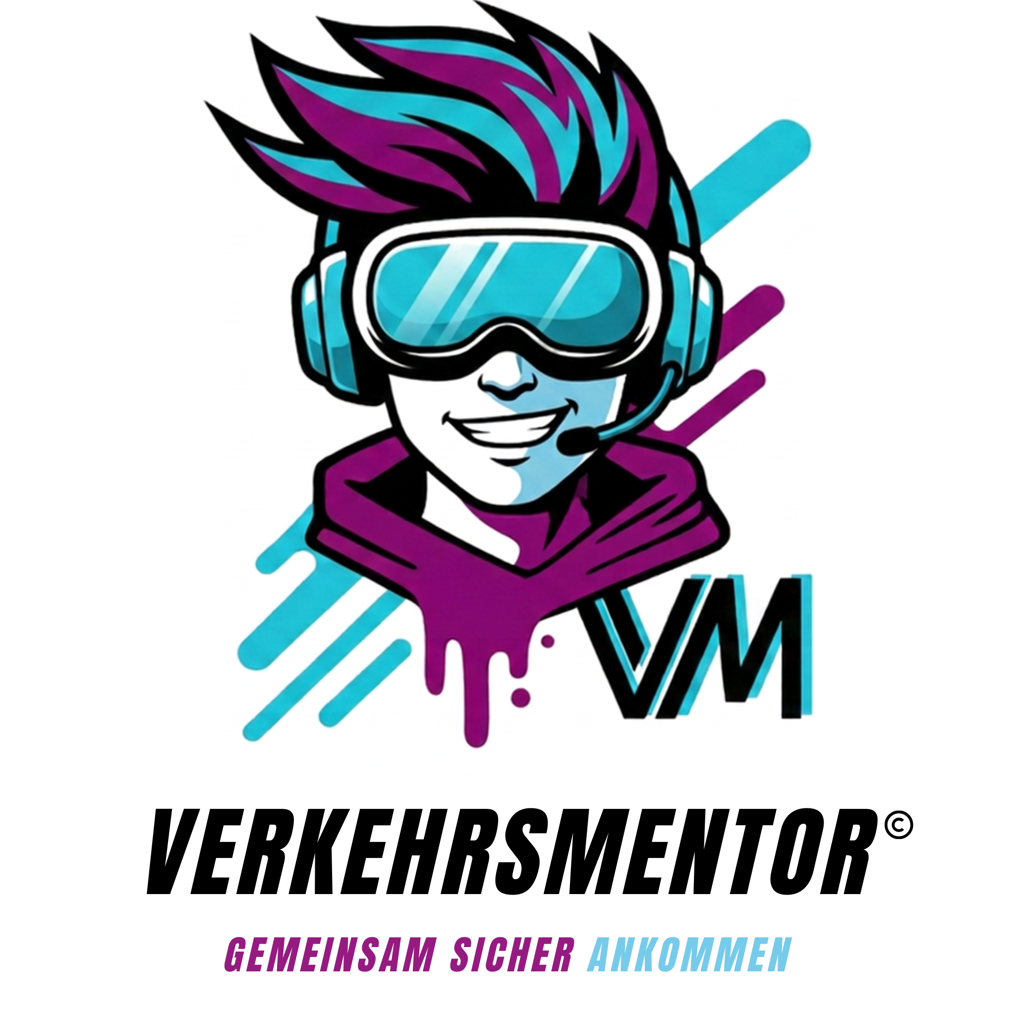 VERKEHRSMENTOR